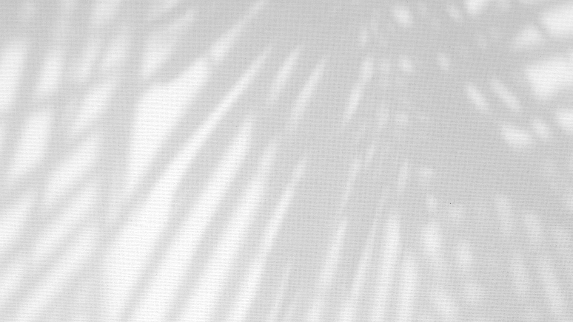 Leaves Natural Shadow Overlay on White Texture Background